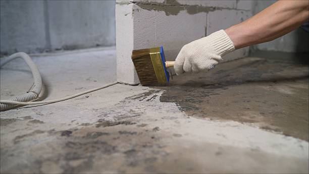SJ Waterproofing Pros Waterproofing coverage map for Cookeville, TN and surrounding area